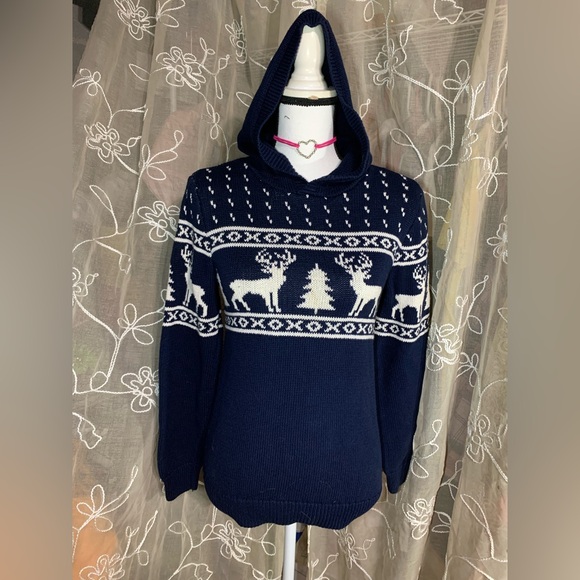Old Navy Kids Reindeer Blue and White Knit Hooded Sweater - Picture 1 of 8